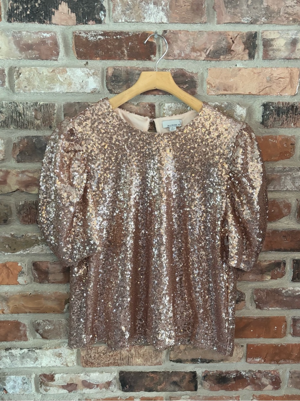 Allison Joy Evereve Pink Sequin Short Sleeve Blouse Top, L
